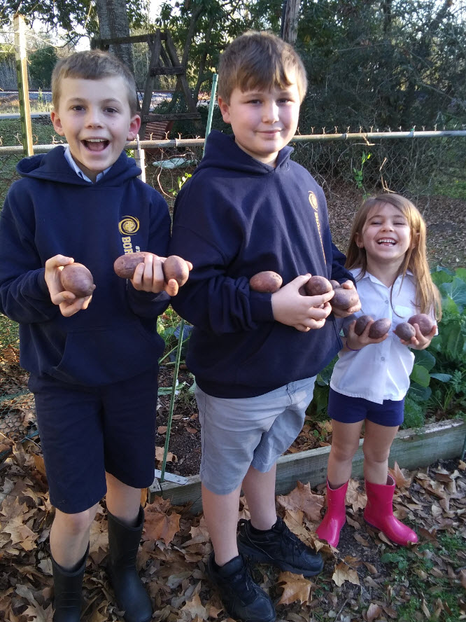 Ready, Set, Grow! January 2021